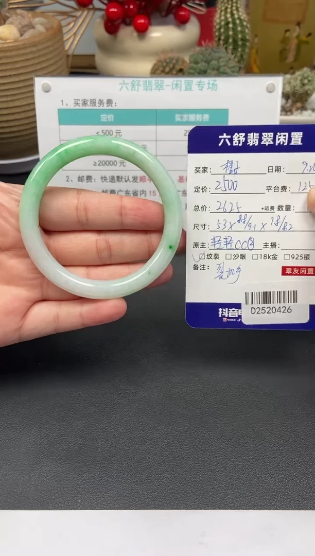 未镶嵌手镯翡翠橙***黎D2520426