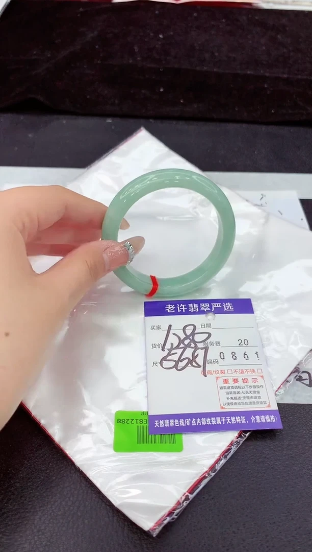 未镶嵌手镯翡翠1
