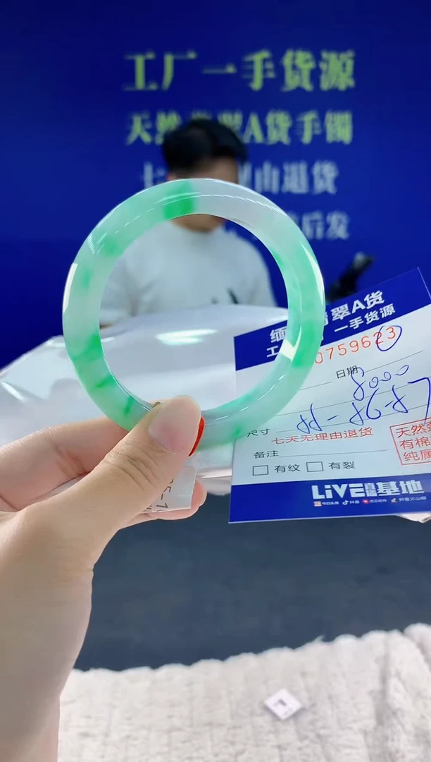 未镶嵌手镯翡翠23