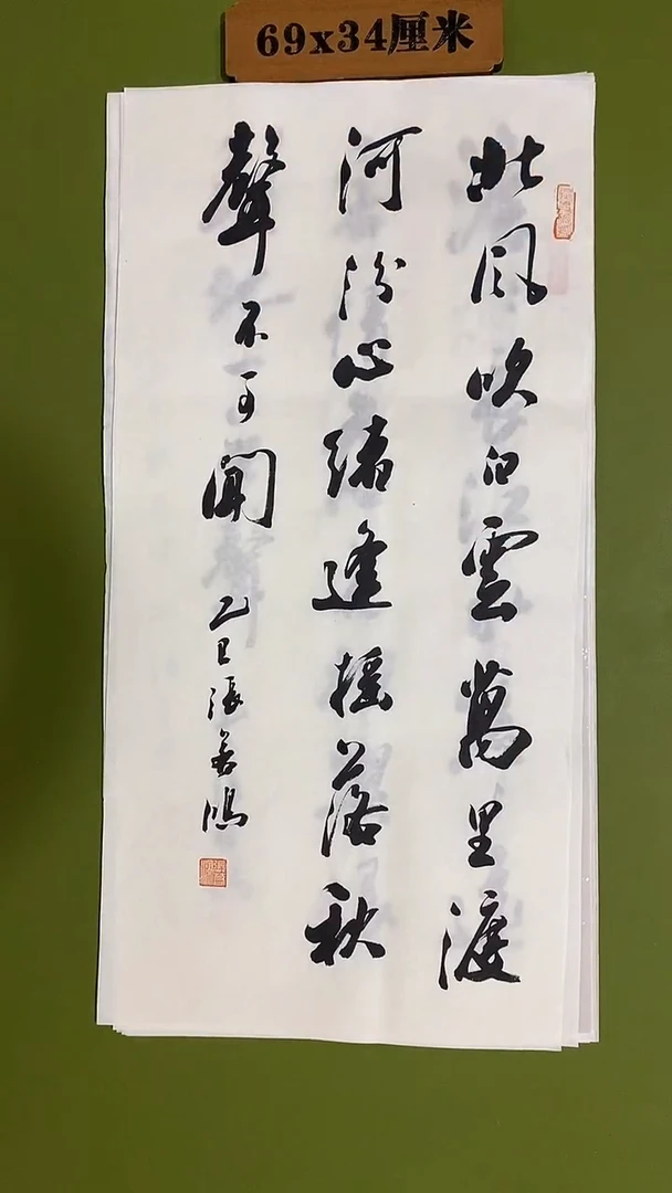 书法书法 张若鸿 尺寸69cm*34cm