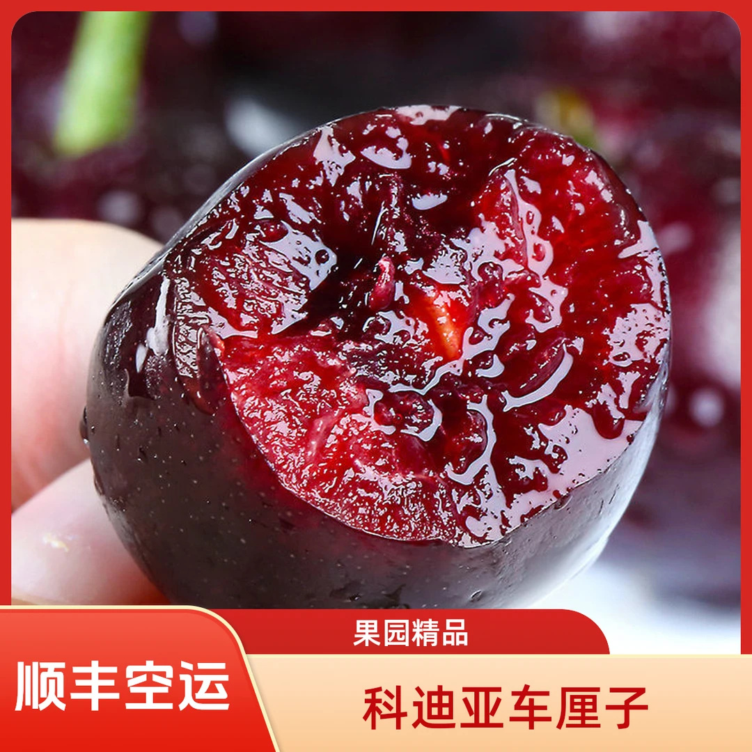 9【旗舰店补贴】科迪亚车厘子5斤2J级新鲜当季限定顺丰空运科迪亚车厘子