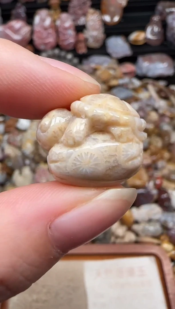 颈饰未镶嵌硅化珊瑚（珊瑚玉）007