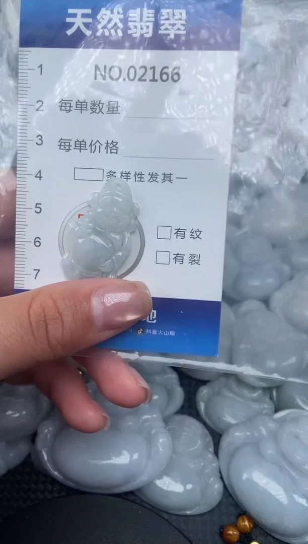 颈饰未镶嵌翡翠纯天然A货翡翠2166