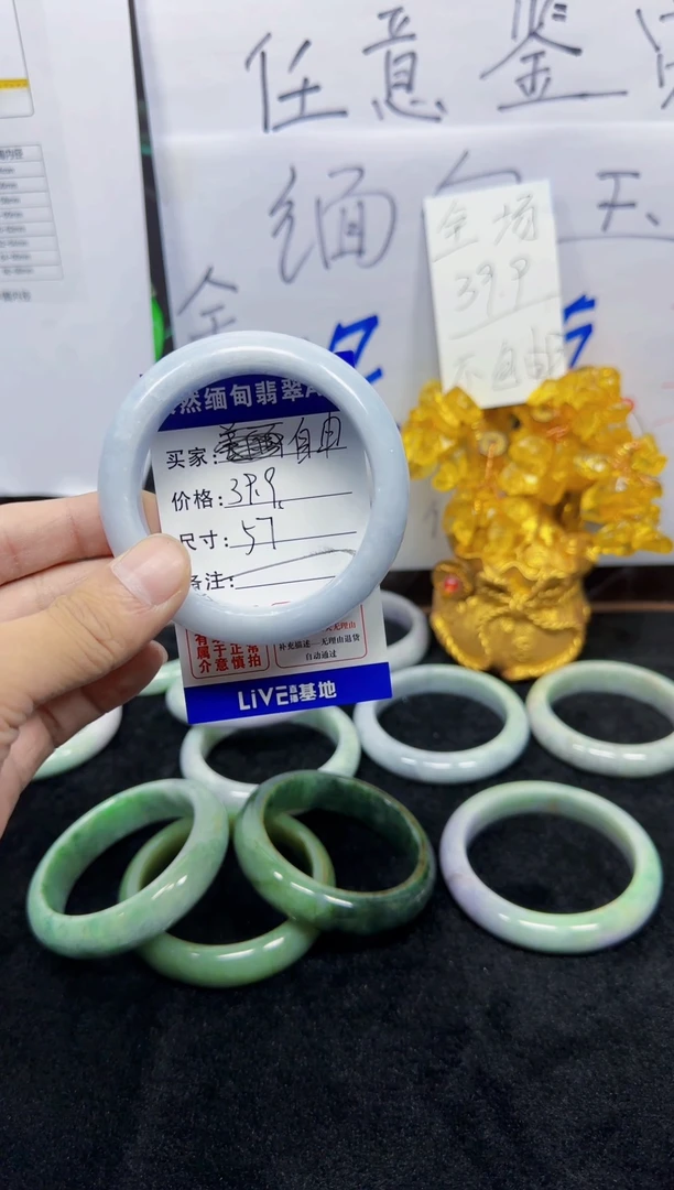未镶嵌手镯翡翠自**在113