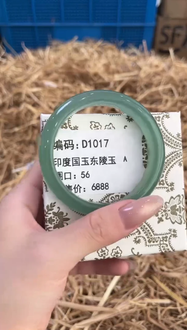 未镶嵌手镯石英质玉D10117