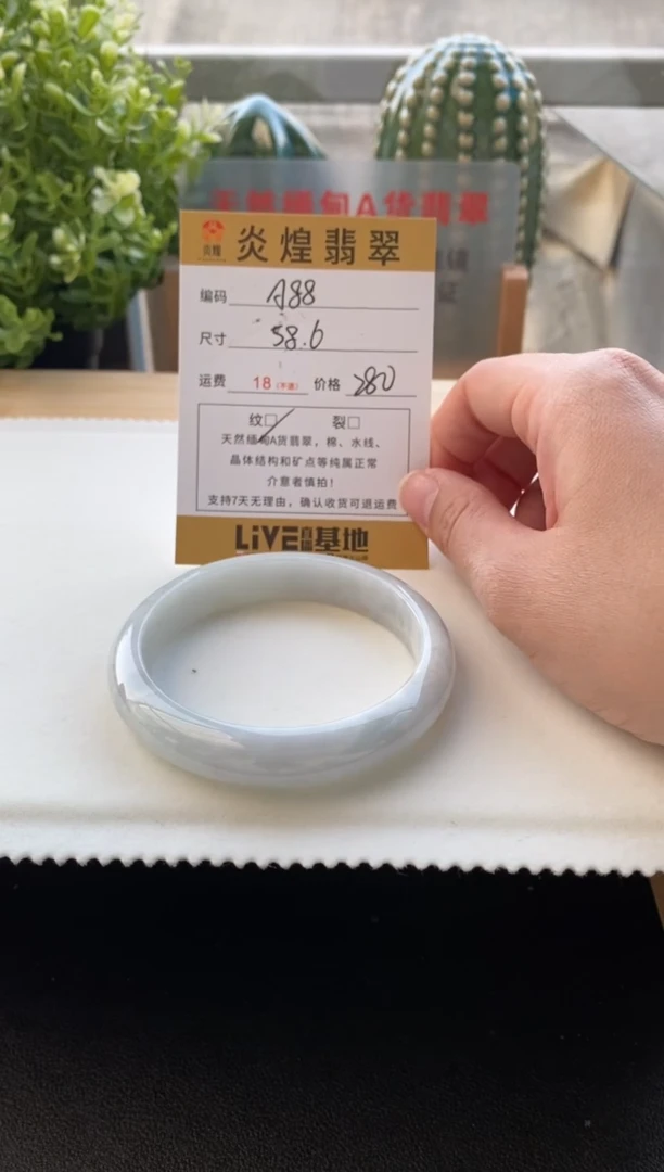 未镶嵌手镯翡翠58.5圈口编码A88