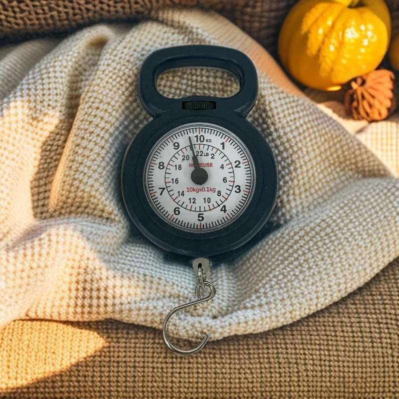 F家用手提专用弹簧秤便携式小型弹簧快递挂钩手提秤
