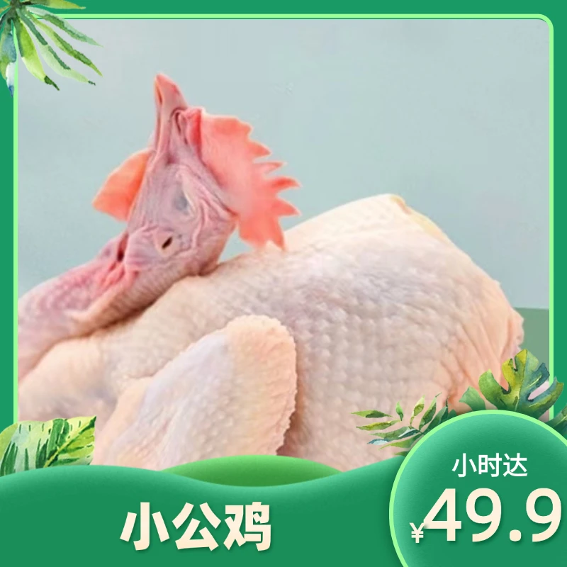 【处理干净】三黄小公鸡2.5公斤左右
