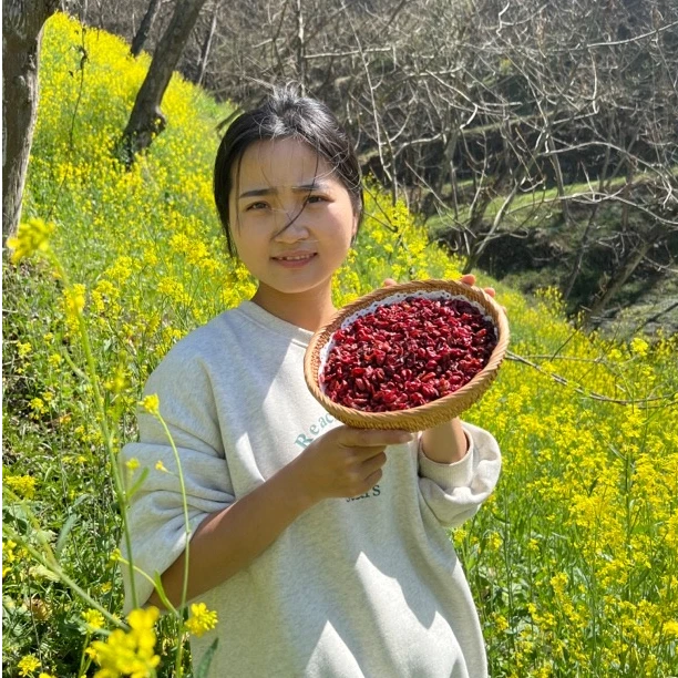 【山茱萸】正宗浙江临安高山无核杭茱萸无添加晒干精选山萸肉饱满