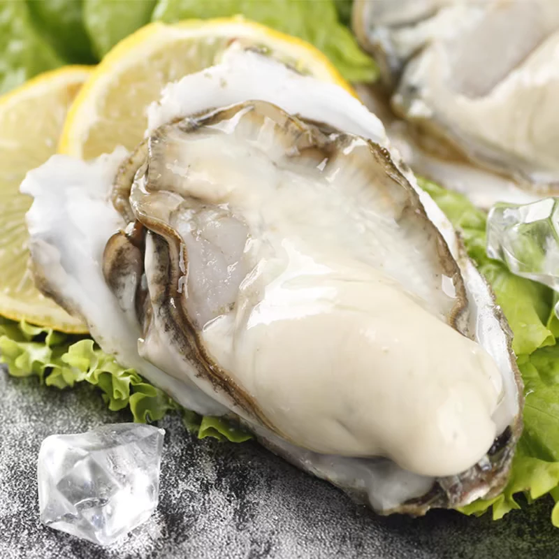 【达吾水果】精品乳山生蚝20个装(同城骑手配送到家)500g起