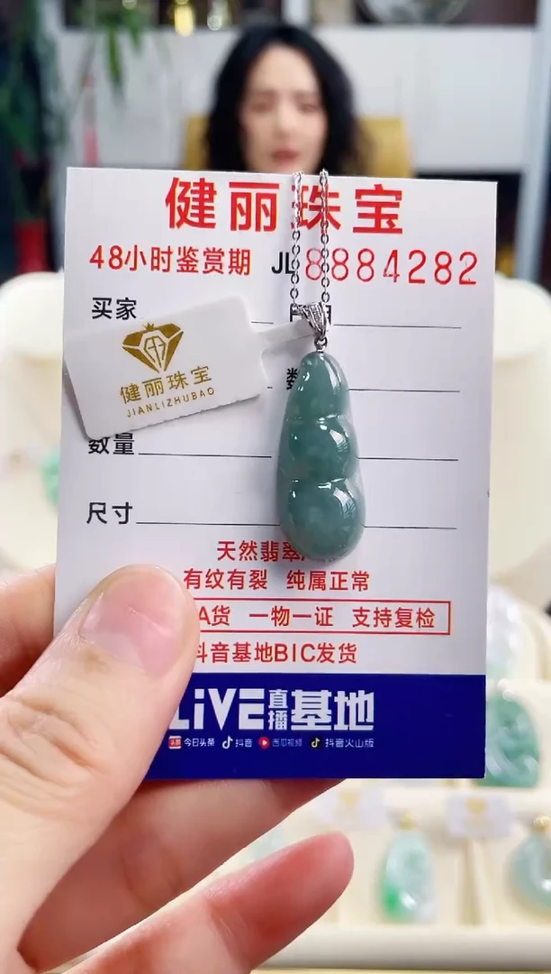 【闪购商品】翡翠颈饰18K金镶嵌天然缅甸翡翠 富贵豆+银链