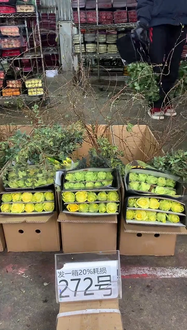 272号♥中通含20%耗损发一箱鲜花