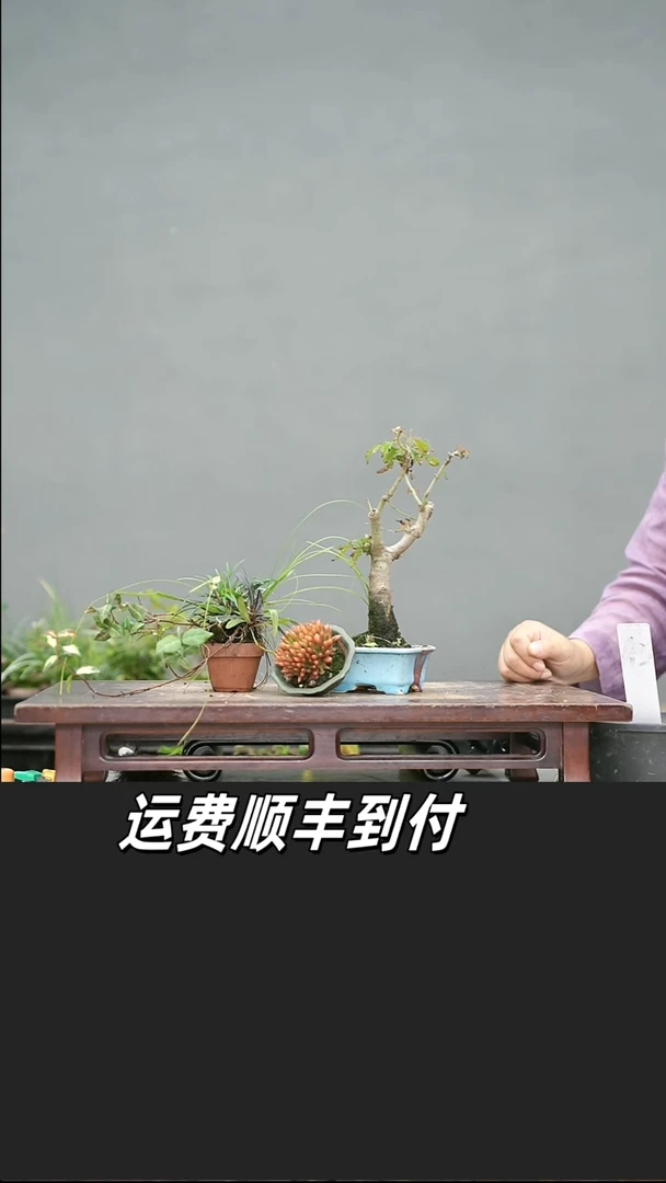东*7