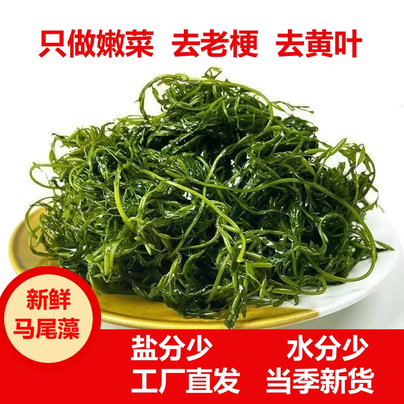 鞭炮笋威海马尾藻可用于凉拌火锅串串配菜威海发货