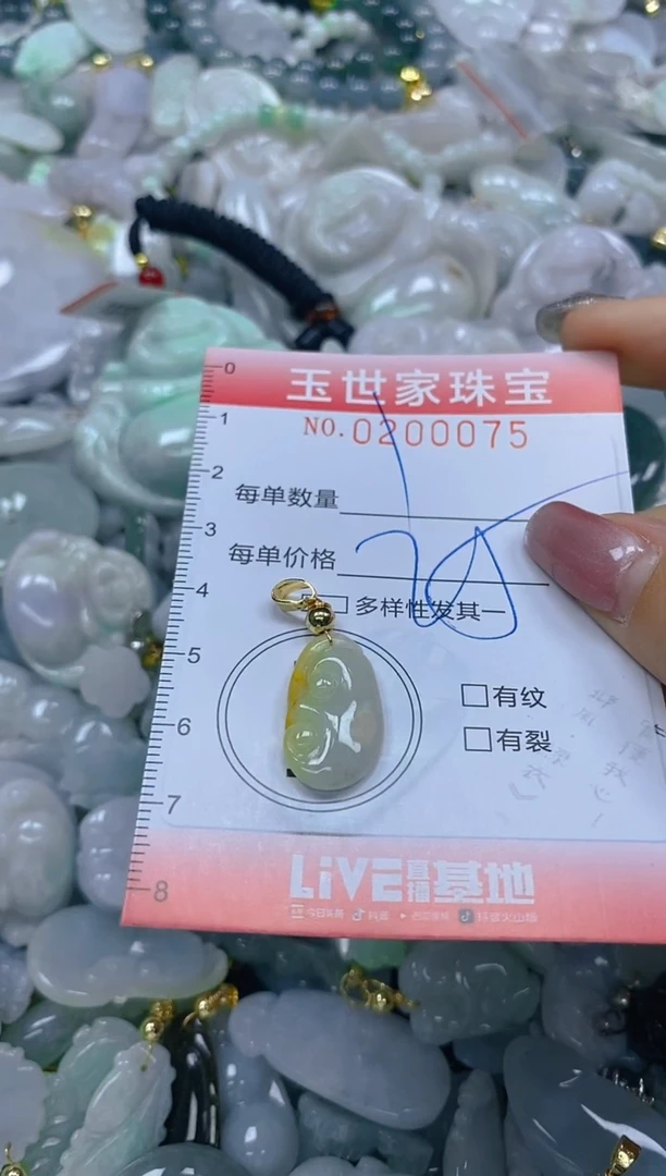 【闪购商品】翡翠颈饰未镶嵌闪购0200075