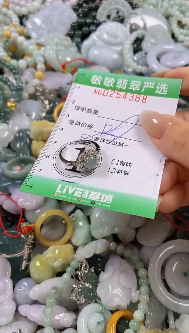 翡翠未镶嵌颈饰闪购0254388多样性发其一