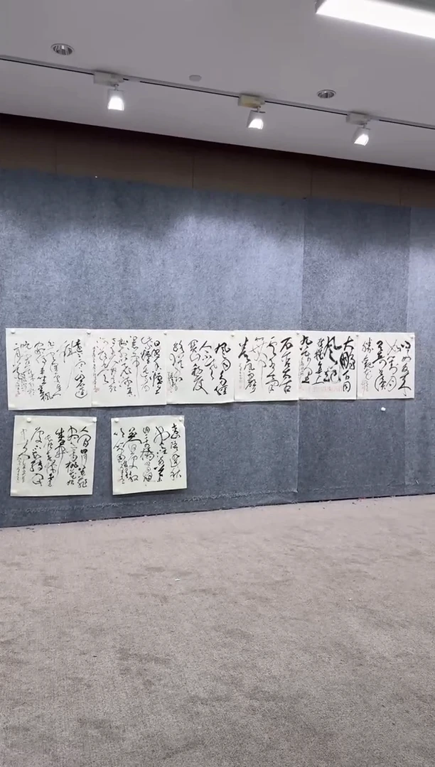 【闪购商品】书法pmw不二轩旗舰店书法YSL4