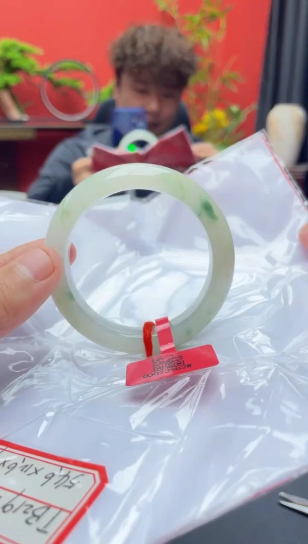 未镶嵌手镯翡翠4