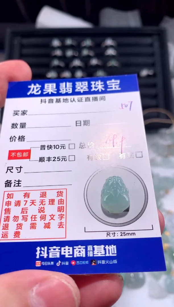 【闪购商品】翡翠颈饰未镶嵌貔貅507