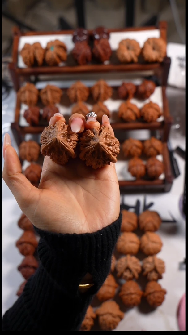 木质御龙粗筋三棱