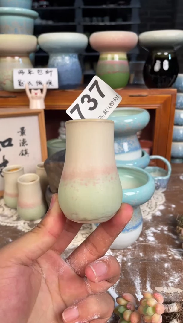 瓷片737小芳花盆直播编号