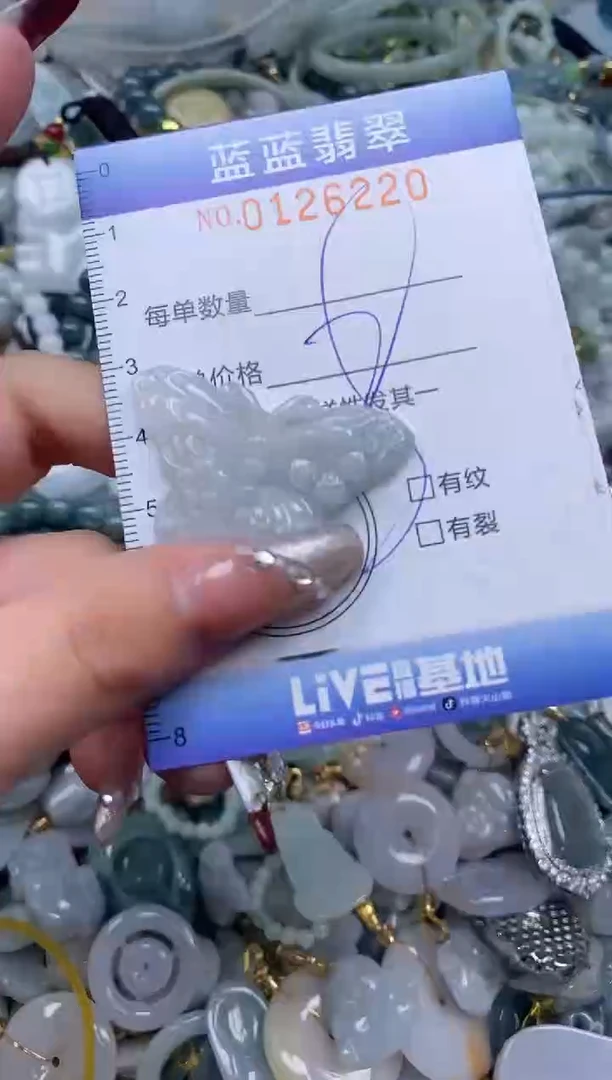 【闪购商品】翡翠颈饰未镶嵌闪购0126220