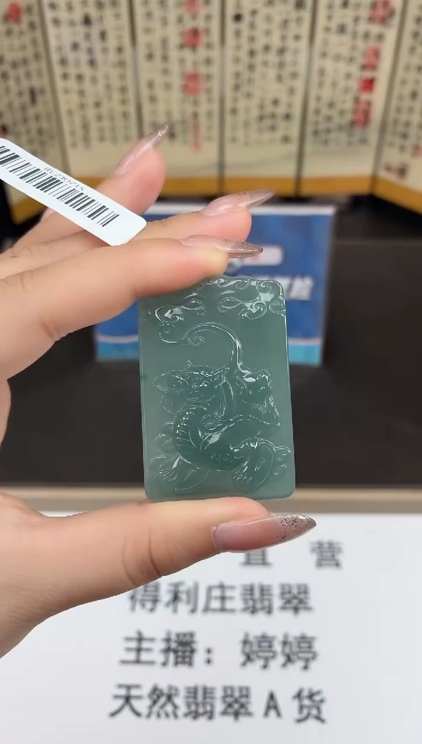 颈饰未镶嵌翡翠DLZ25110348