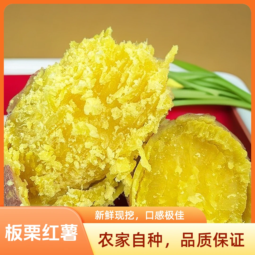 广东茂名板栗红薯地瓜黄肉爆皮粉香糯新鲜现挖高州特产番薯包邮