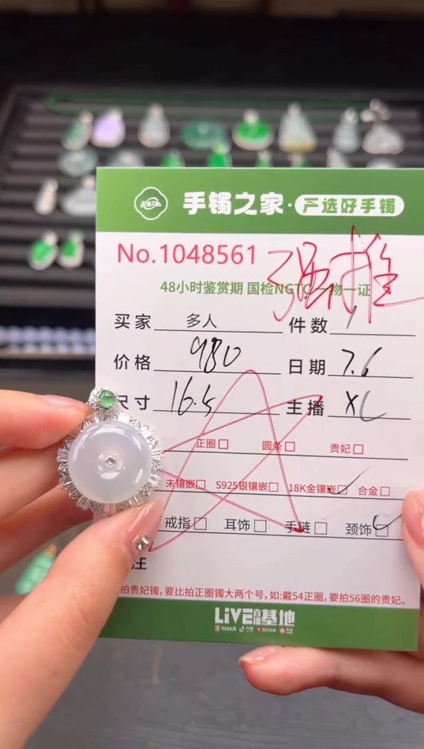 翡翠银S925镶嵌颈饰多人