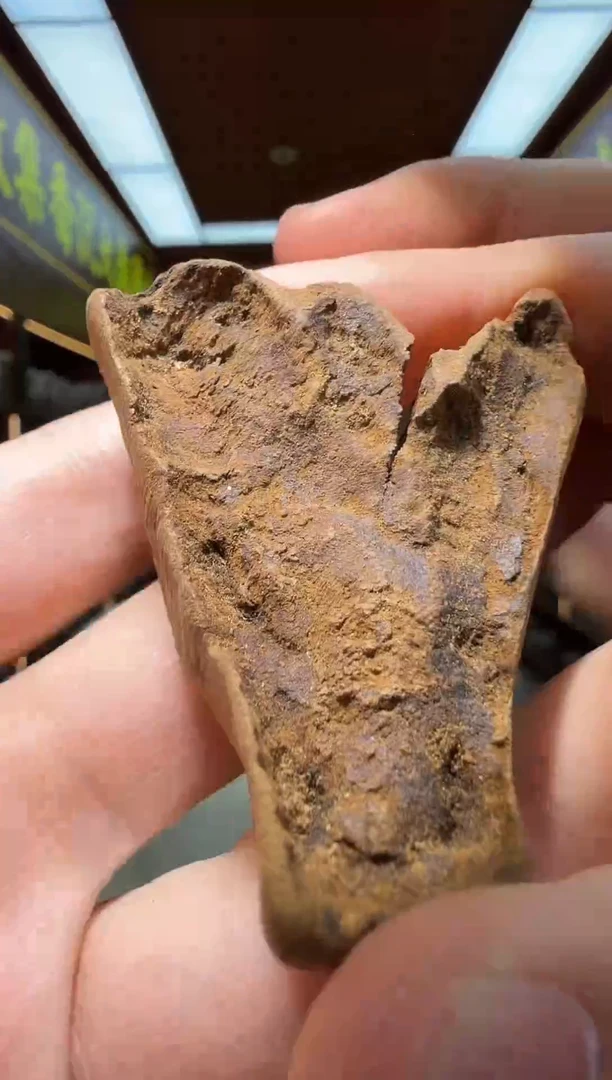 沉香吊坠9号香港多样性发一