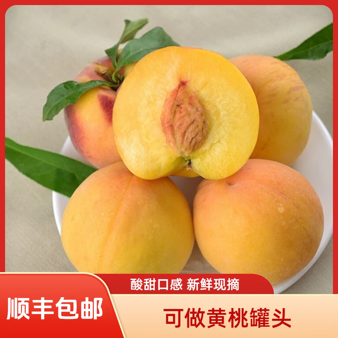 （顺丰包邮）大兴本地果冻桃一桃两吃直接吃酸甜口感做罐头当季水果4.5斤以上北京市