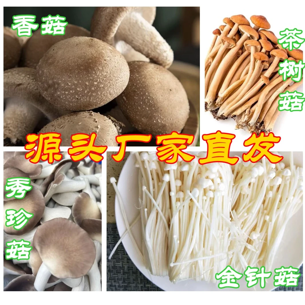 鲜采菌菇(香菇/秀珍菇/茶树菇/金针菇 2斤装）【包邮 京东冷链】