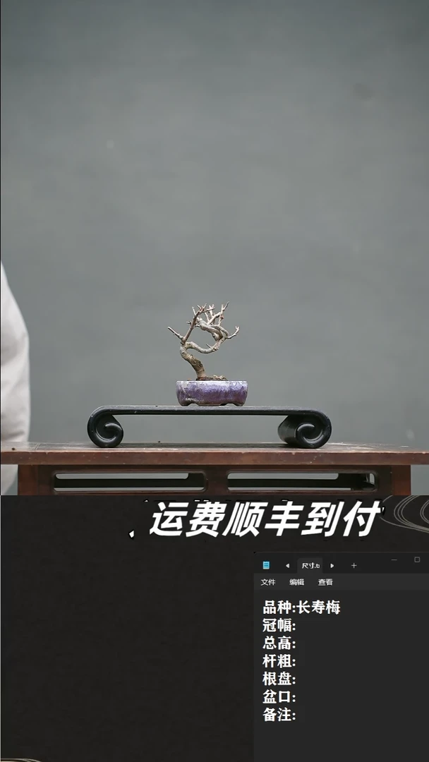 【闪购商品】45 长寿梅