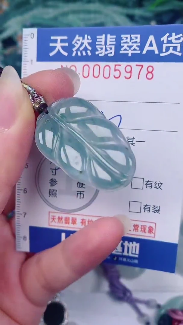 翡翠未镶嵌颈饰00005978