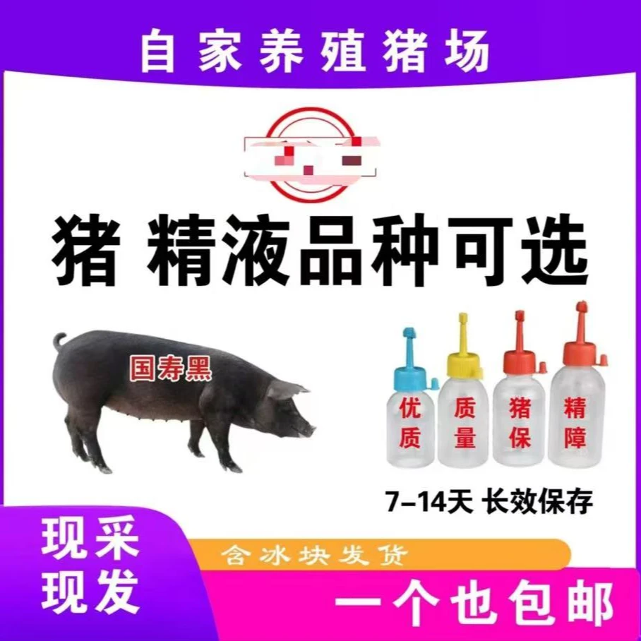 精品国寿黑精液批发一件包邮恒温箱发货包对版