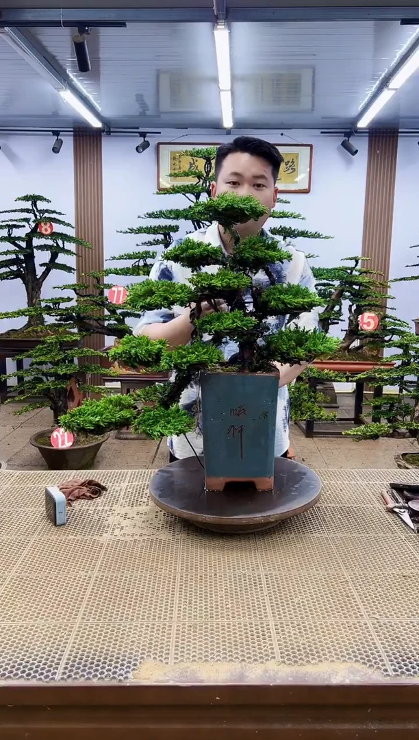 一物一拍，所见即所得