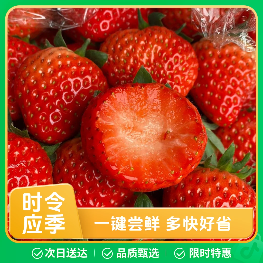 (大小不匀称)丹东奶油草莓，新鲜水果，毛重2.6斤起99草莓