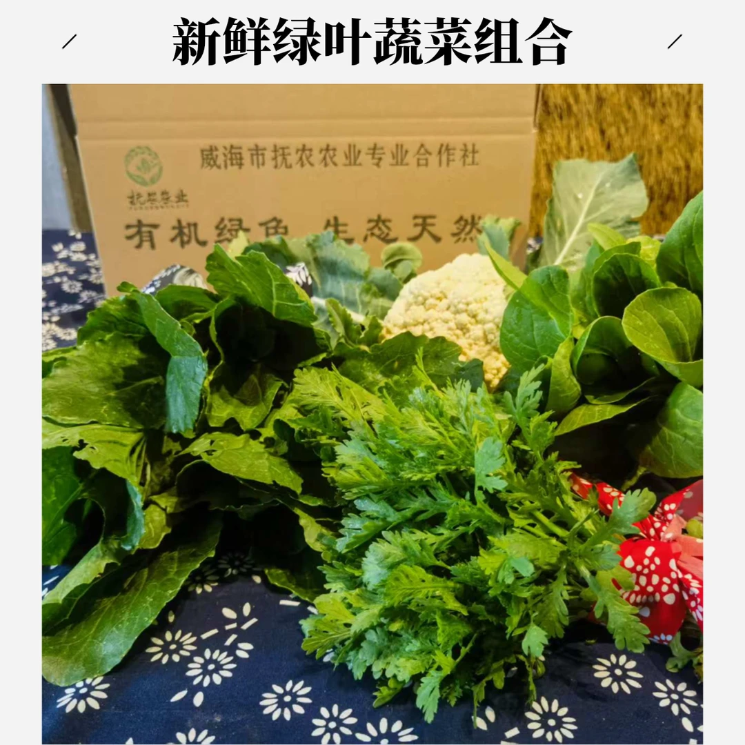 媛姐家新鲜采摘小院蔬菜礼盒4斤装应季随机绿色蔬菜
