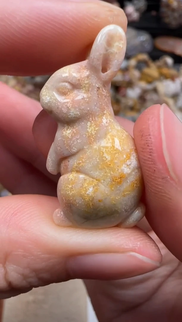 硅化珊瑚（珊瑚玉）未镶嵌颈饰336