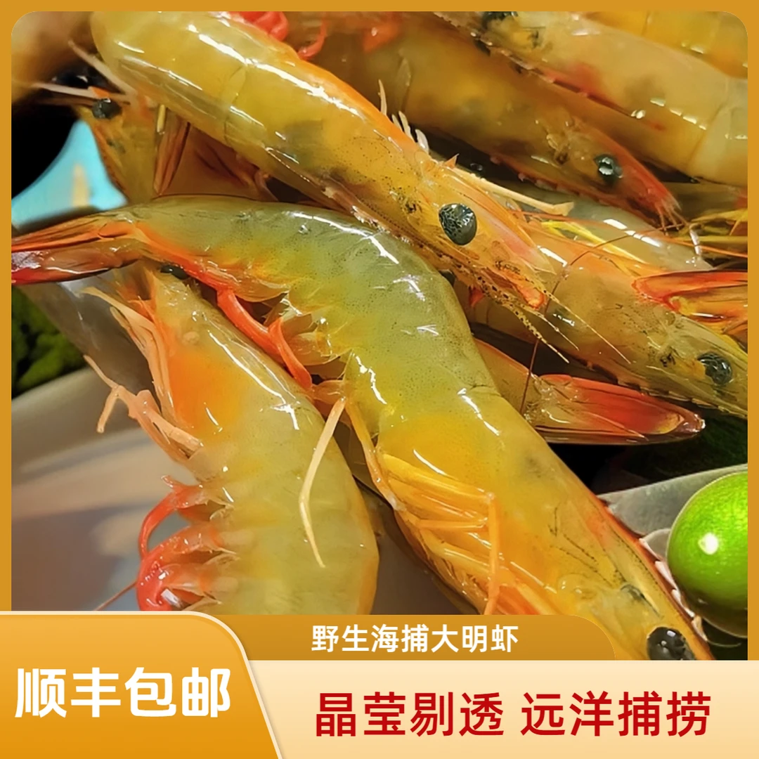 【顺丰包邮】野生海捕新鲜大明虾3斤5斤(15-20头/斤) 冷冻保鲜