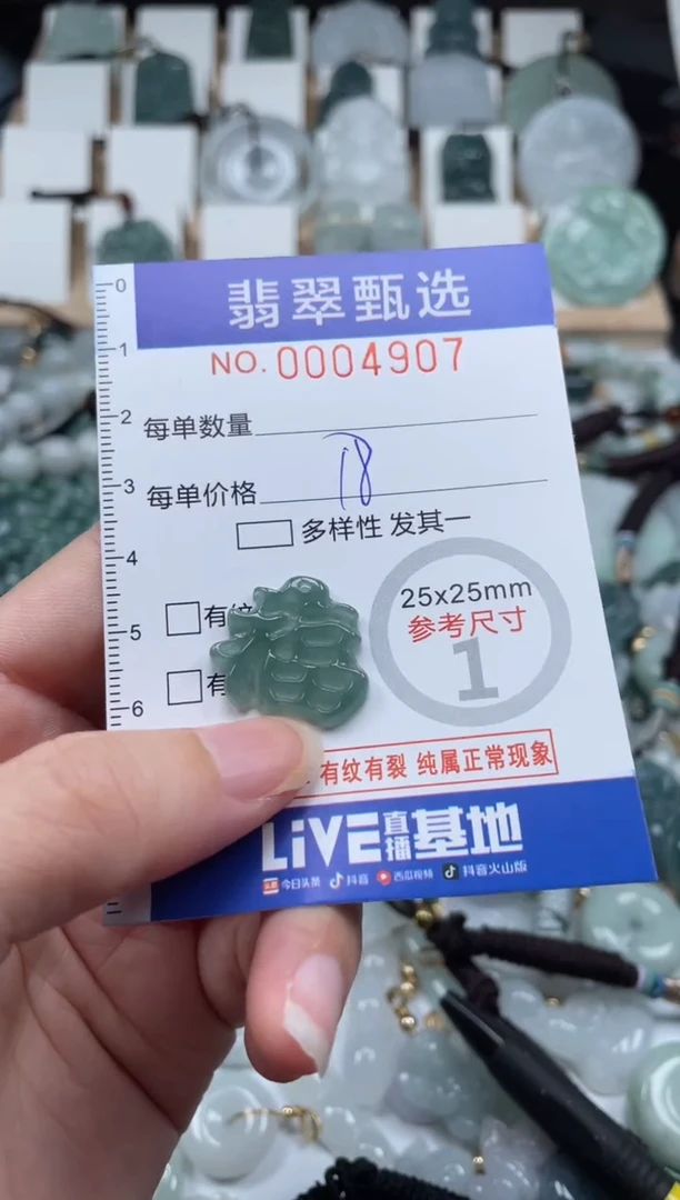 翡翠未镶嵌颈饰00..4907