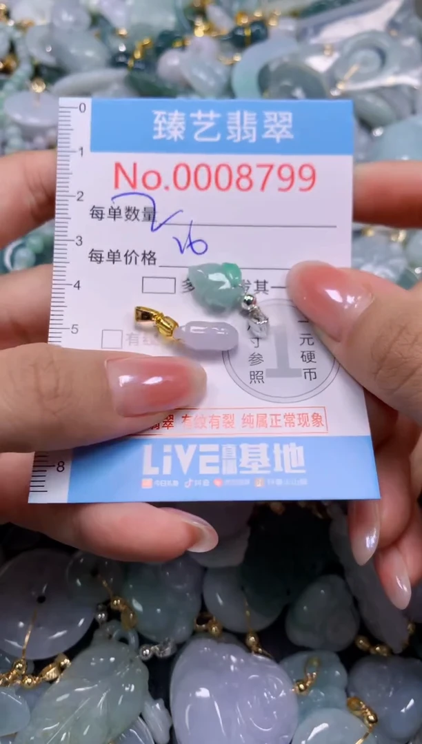 颈饰未镶嵌翡翠8799