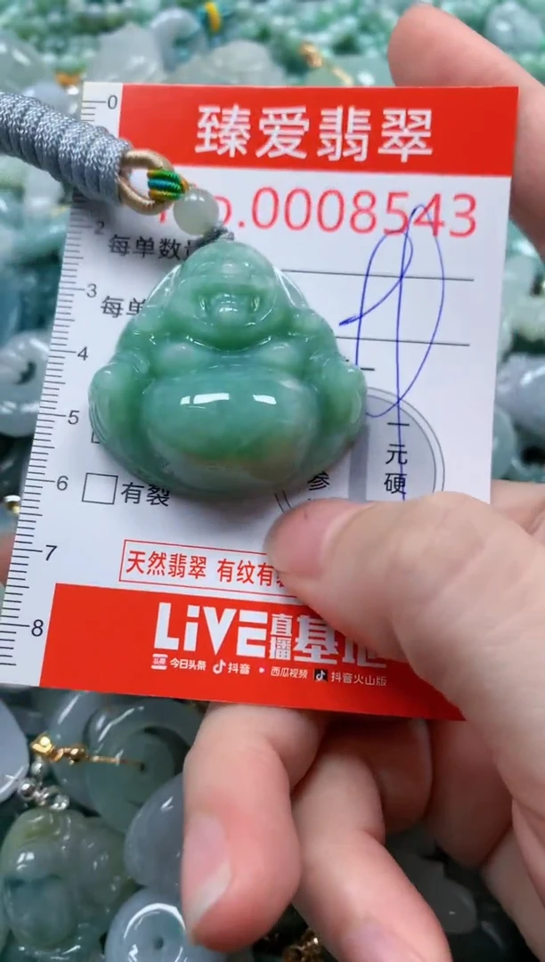 翡翠未镶嵌吊坠(不含链)8543