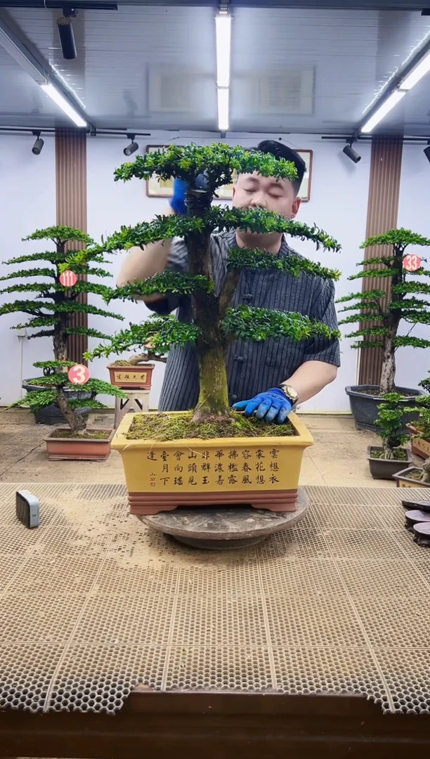 无花朵一物一拍，所见即所得