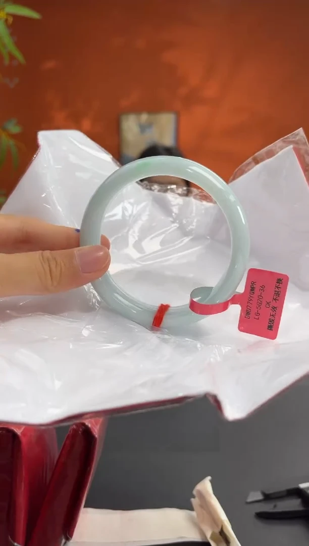 未镶嵌手镯翡翠6