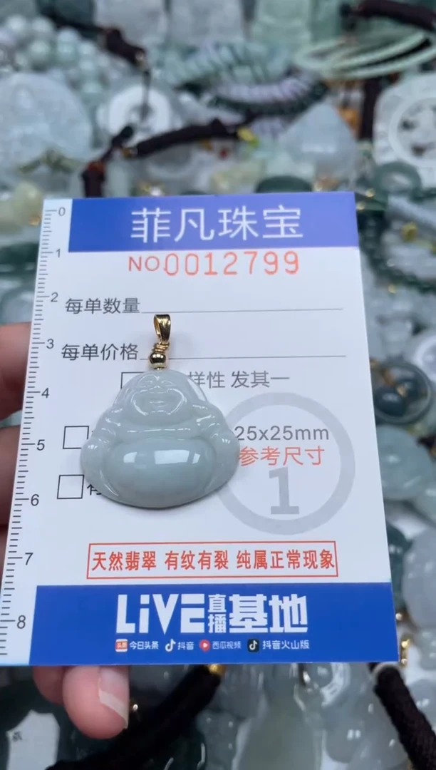 颈饰未镶嵌翡翠12799
