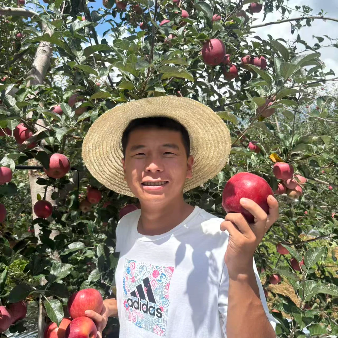 2025新鲜年大凉山丑苹果(现摘现发)