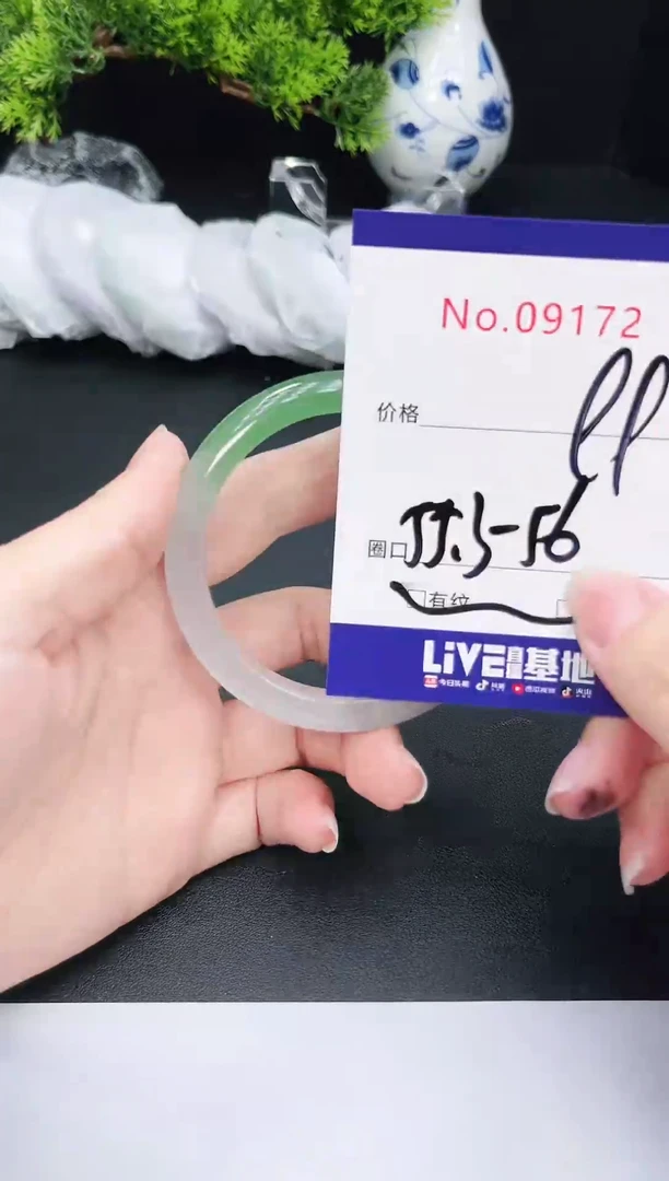 未镶嵌手镯翡翠9172