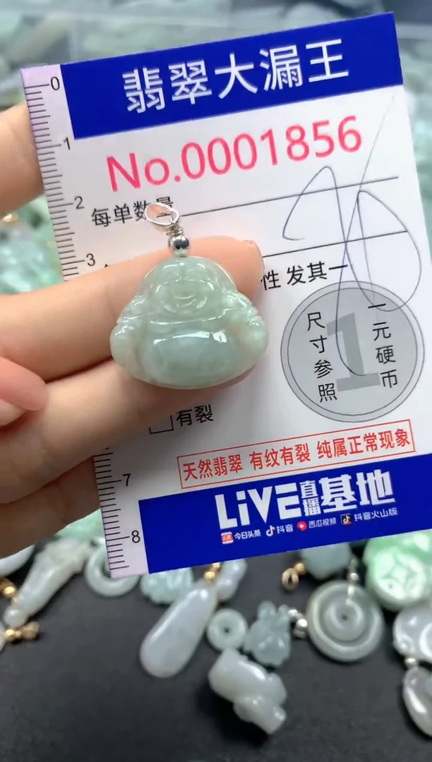 颈饰未镶嵌翡翠1856