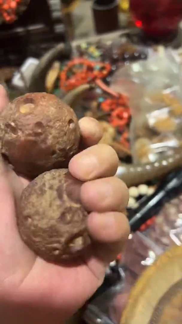紫砂紫砂紫砂紫砂紫砂紫砂